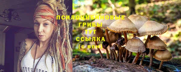 прущая мука Гусев
