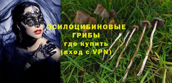 мдпв Гусиноозёрск