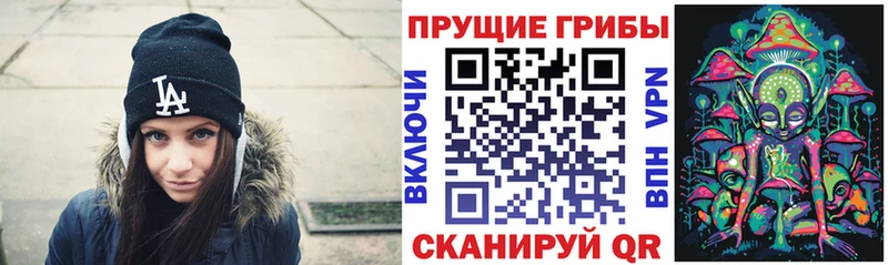 Галлюциногенные грибы Psilocybine cubensis  что такое   Новомосковск 